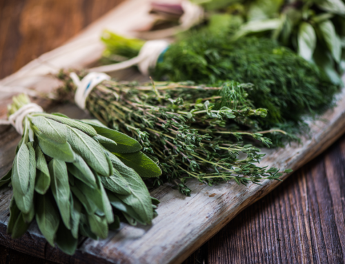 Using Herbs for Health