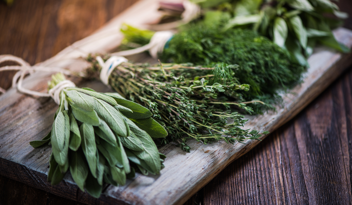 Using Herbs for Health Using Herbs for Health