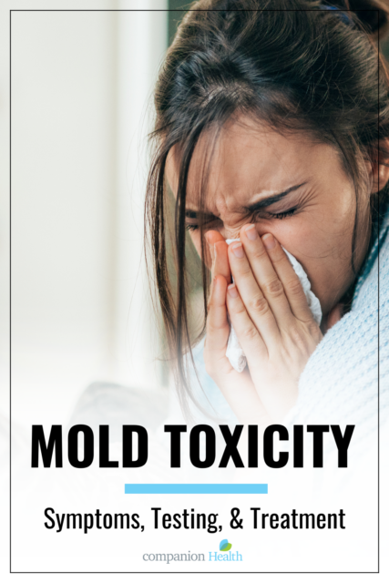 Mold Toxicity Testing in Charlotte from Companion Health at CompanionHealthNC.com - Charlotte Functional Medicine